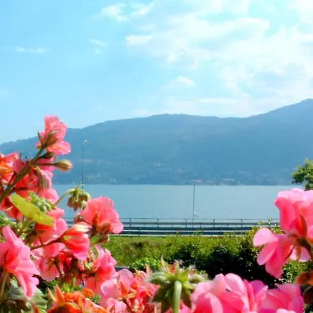In A On Maggiore Near The Verbania